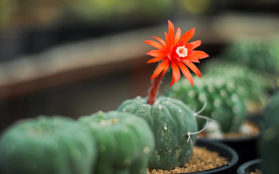 Forgiveness Equals Freedom